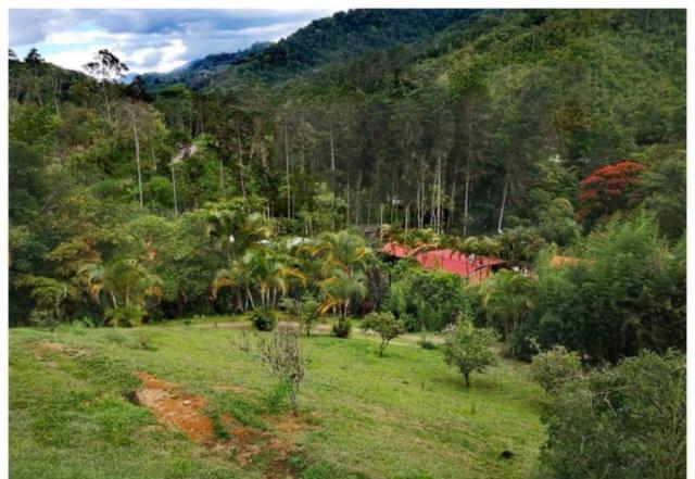Navarro Mountain Cartago Bagian luar foto