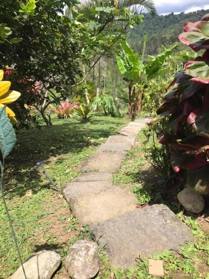 Navarro Mountain Cartago Bagian luar foto