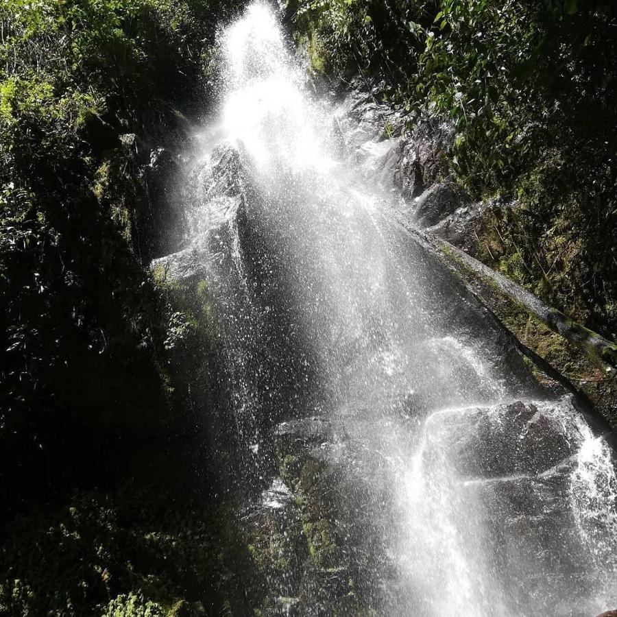 Navarro Mountain Cartago Bagian luar foto